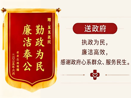 锦旗送政府