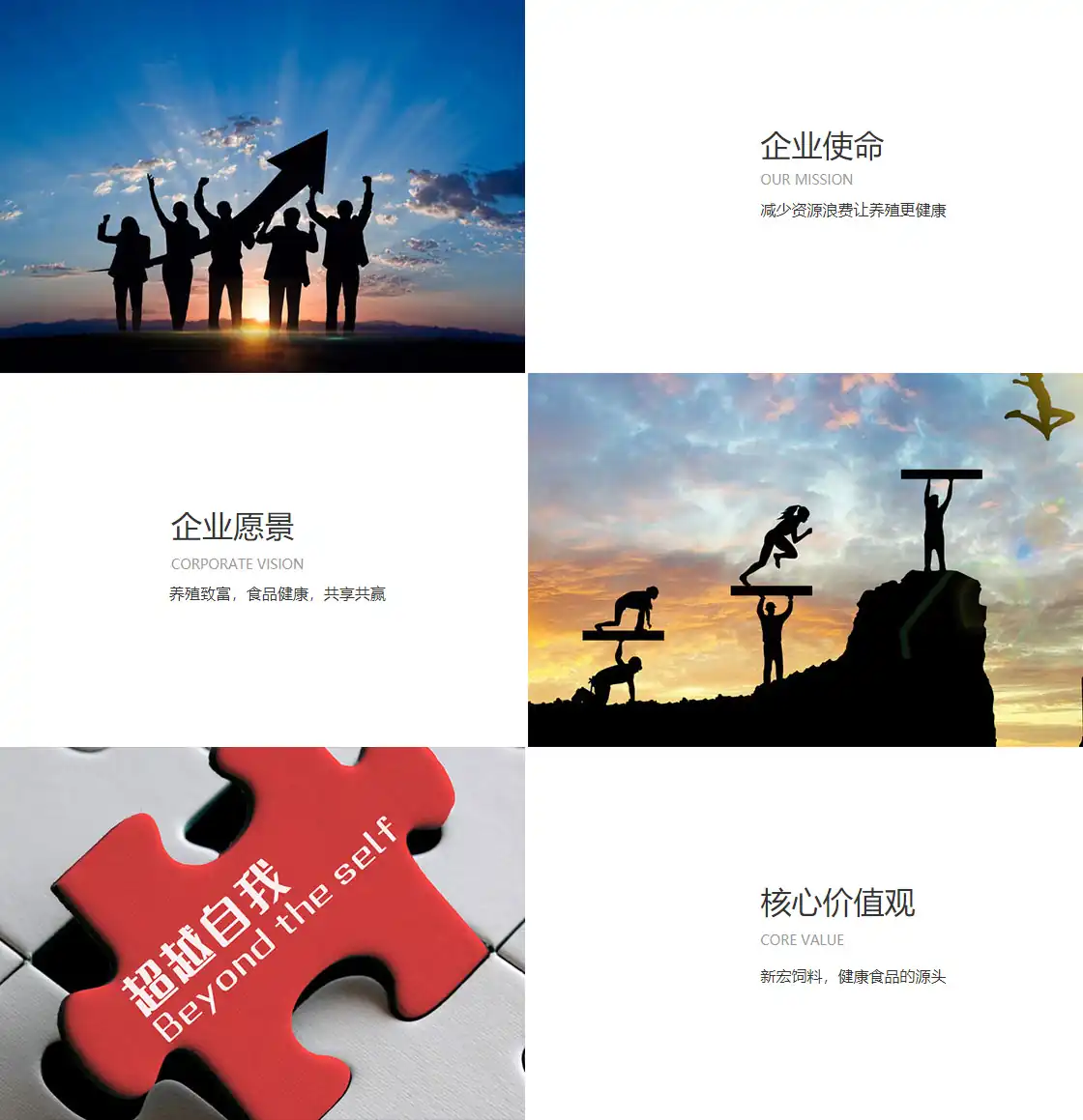 1-1Z10ZT254P2_compressed.webp